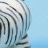 Учебник ZEBRA Top Top Как сделать помадную зебру Декоративный торт Fondant для начинающих