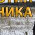 Психотип Охотника