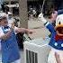 Donald Is Amazing Disney Donald Duck Waltdisneyworld Disneyworld Hollywoodstudios Plate Wow