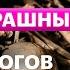 Станислав Дробышевский Ужасы нашего прошлого от бытовых убийств до глобальных катастроф