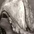 Fabriclive 59 Four Tet 2011 Full Mix Album
