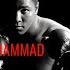Muhammad Ali The Undisputed Legacy Of Greatness