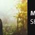 Shahriar Piroozfar Mitarsam شهریار پیروزفر میترسم