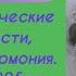 Магический браслет Лабрадор Горный Хрусталь