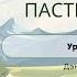Урок 7 Душа Господь Пастырь мой Даниил А Ясько