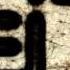 Porcelaine People Broken Flowers Lyric Video