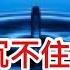 習主席沉不住氣了 要提前打底牌 新法細思極恐 不僅僅是警察擴權的問題 新出入境管制越來越離譜了