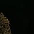 Vikings 2013 2020 Floki Moments Season 1 4 Part 1of2