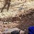 Against The Wind The Nomadic Journey Of Elham S Family