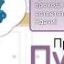 Приключения Пушка на кухне Часть 1