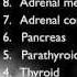 The Endocrine System