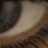 Baltic Casting Agency KARUNA 2012 TV Commercial
