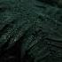Nature Twilight Fog Aesthetic Forest Natureperfection Rain природа лес путешествие дождь