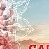 Garud Gayatri Mahalakshmi Iyer A Collection Of 25 Gayatris Times Music Spiritual