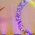 Ghoomar Group Dance
