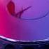 Paronator No Gravity Tom Middleton Liquatech Mix