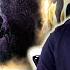 Periphery Wax Wings Official Audio 2LM Reacts