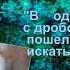 Встречи в тайге