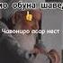 ДОМУЛЛО АБДУЛКОДИР ЧАВОНХО ОГОХ БОШЕД