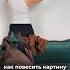 ЕЩЁ ОДИН СПОСОБ КАК ПОВЕСИТЬ КАРТИНУ НА СТЕНЕ БЕЗ СВЕРЛЕНИЯ Shorts