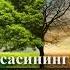 01 ДАРС Ниҳоя қиссалари фазилатлари 1 қисм АБДУЛЛОХ ДОМЛА