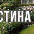 В гостях у роз ПИТОМНИК РОЗ Дэвида Остина Волшебный мир и мечта любого садовода