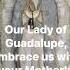 Our Lady Of Guadalupe Embrace Us With Your Motherly Love Powerful Meditation Prayer