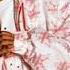 Juelz Santana Wherever I Go Feat Jim Jones