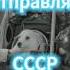 Почему СССР в космос ОТПРАВЛЯЛ только самок собак Гагарин Космос Космонавтика
