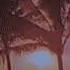 I M Not Alone Calvin Harris 2019 Edit Pitched Down
