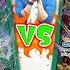 ONE PIECE CARD GAME New Starter Decks Battle 3 ST 24 And ST 28