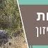 יוגה לאגן וגב תחתון להרגיש נפלא איזון צ אקרת המין SVADHISTHANA CHAKRA