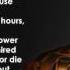 Wiz Khalifa ISay Ft Juicy J Lyrics