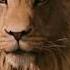 Narnia Soundtrack Aslan Theme
