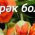 Музыка Полат Изимов Туғулған күн
