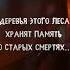 Триллер Мэтью Лайонса Лес нас найдет триллер ужасы книги