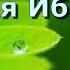 1 Религия Ибрагима АУДИОКНИГА абу Мухаммад аль Макдиси