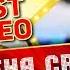 АЛЁНА СВИРИДОВА РОЗОВЫЙ ФЛАМИНГО КОЛЛЕКЦИЯ ЛУЧШИХ КЛИПОВ BEST VIDEO