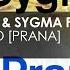 Mauro Picotto Sygma Featuring Barny Scott Don T Let Me Go Prana Chill Mix