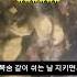 김숙도 그렇게 사는데 나 따위가 40대브이로그 1인가구 사골미역국 김숙 줌마 줌마가장