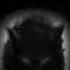 Nine Inch Nails Head Like A Hole Extended Wolf