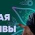Мощнейшая мантра защита Шивы Михаил Федоров