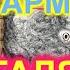 РАЗБОРЫ Под гармонь Нэсе Галя воду