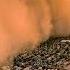 Natural Disasters Disasters Powerful Natural Phenomena
