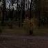 Aesthetic Tiktok Atmosphere Calm Sad Autumn Evening Rain