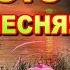 Не знаешь ты Андрей Никольский Вот это песня