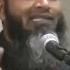 The Birth Of Jesus Isa A S In The Quran Shaykh Hasan Ali