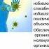 Азбука детского иммунитета Арьяева Марина Митаповна