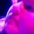 Tangerine Dream Jerome Froese Dream Mixes II Ultimate Edition Remastered 2018 Timesquare Clip