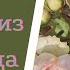 Три розы моего сада Лучшие розы флорибунды розы роза флорибунда